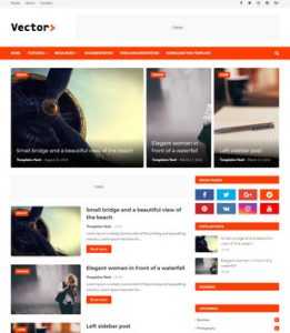 Vector