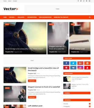 Vector