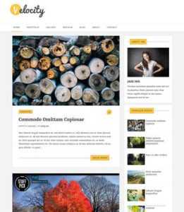 Velocity Responsive