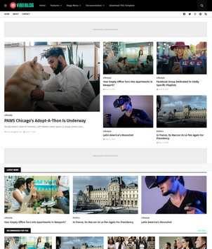 VibeBlog