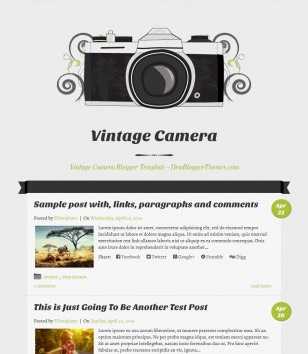 Vintage Camera Responsive