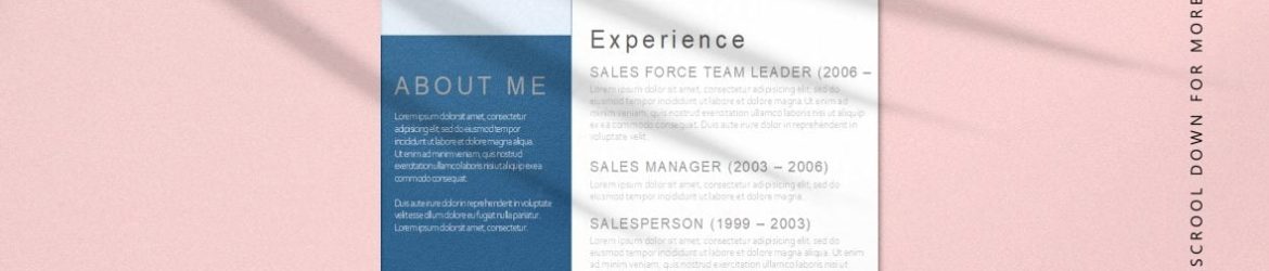White CV template with blue and grey details