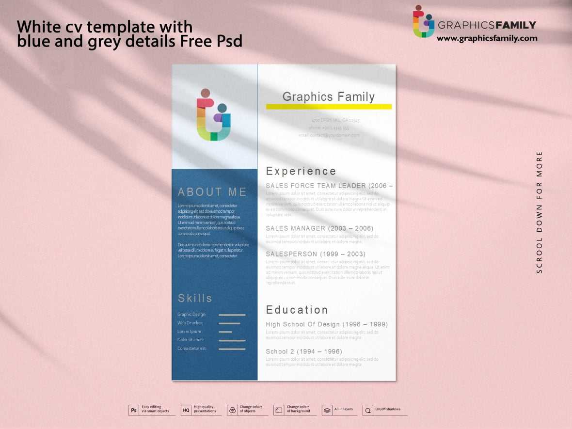White CV template with blue and grey details