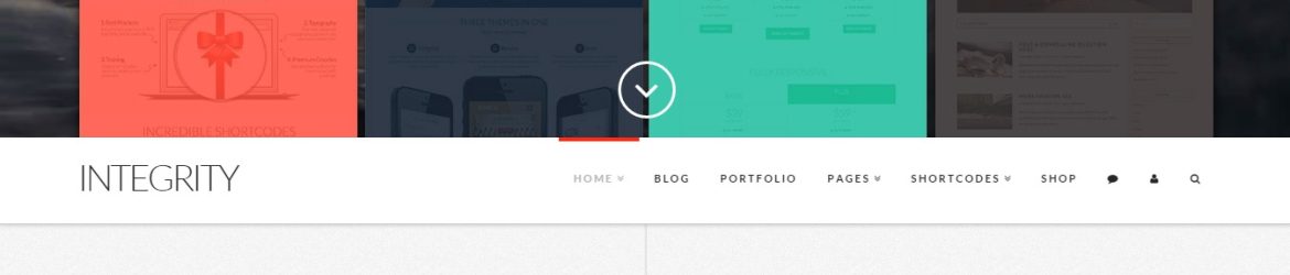 Wordpress Themes