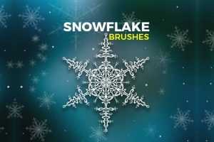 20 Snowflake Brushes
