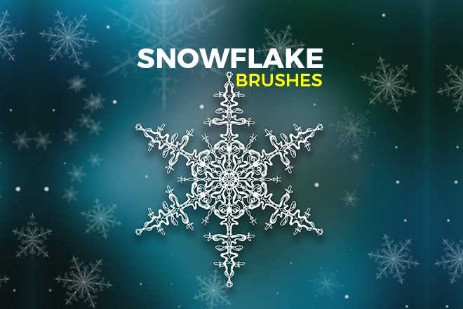 20 Snowflake Brushes