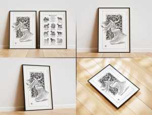 5 Free Poster Frame Mockup PSD Set On The Floor