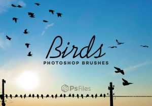 63 Birds Brushes for Photoshop free