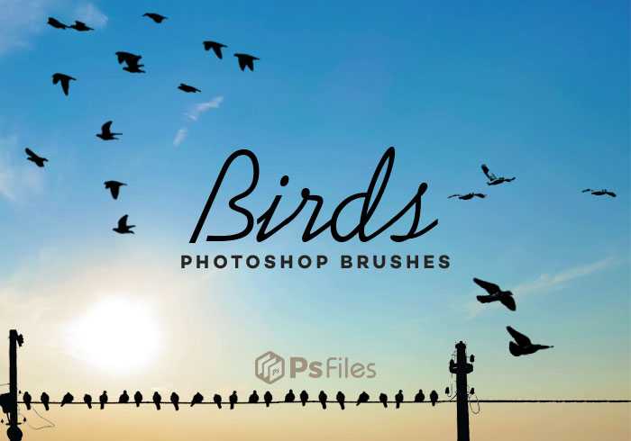 63 Birds Brushes for Photoshop free