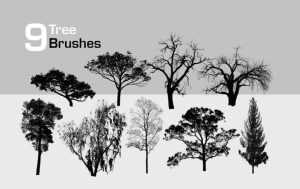9 High-Resolution Tree Ps Brushes