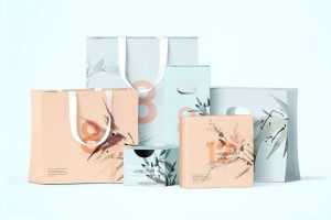 Box and Shopping Paper Bag Packaging Mockup Set Free PSD