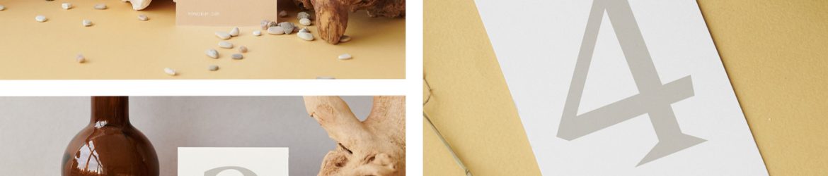 Cards with Root Mockup