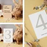 Cards with Root Mockup