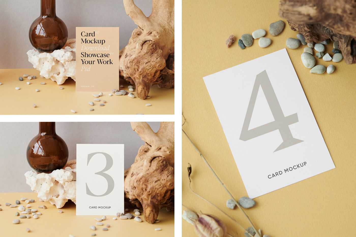 Cards with Root Mockup