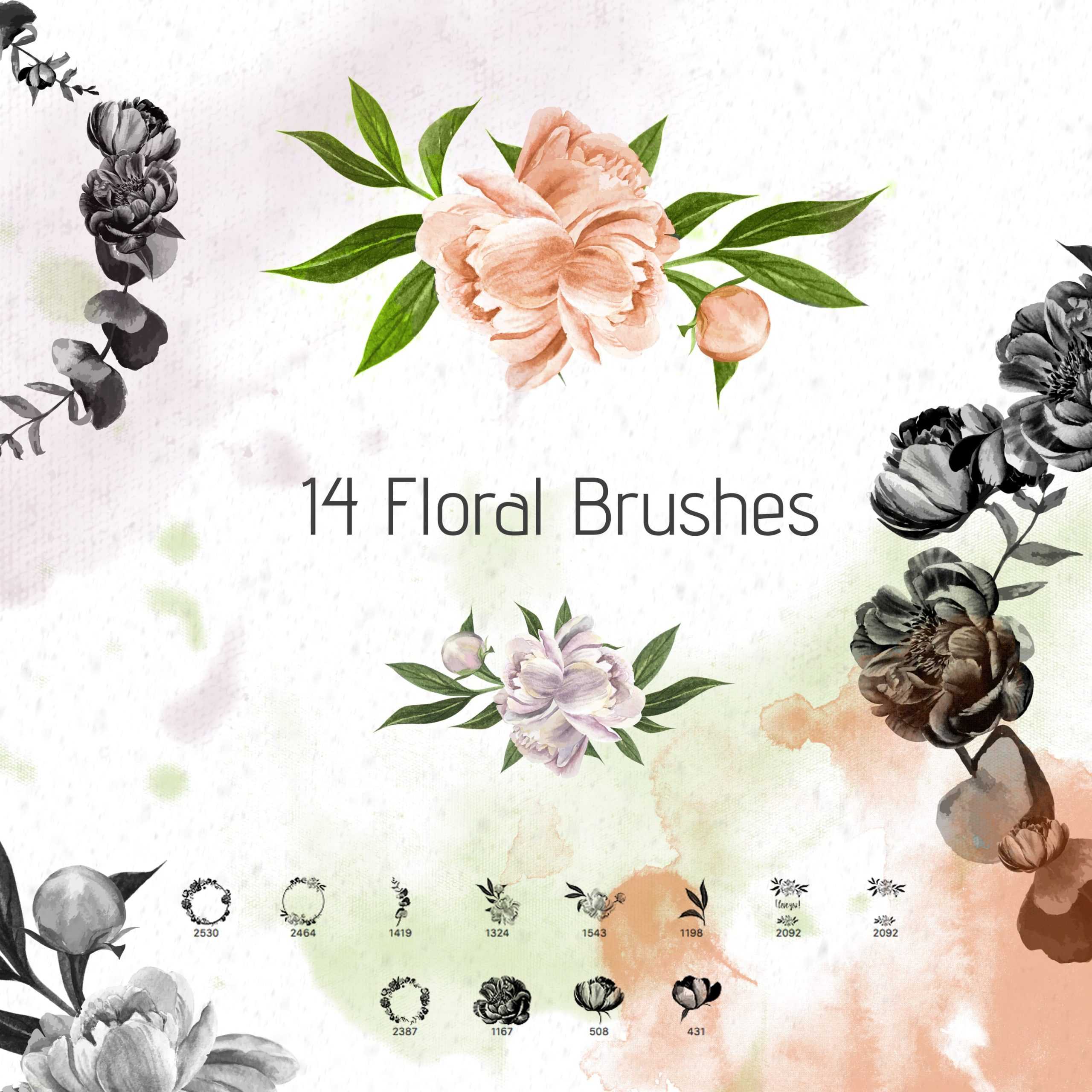 Free 14 Floral Photoshop Brushes by Peony