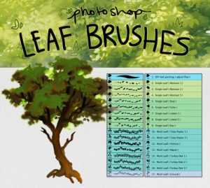 Free 17 Photoshop Leaf Detail Brushes