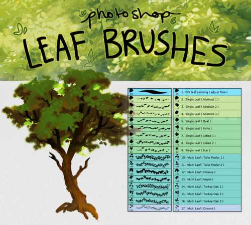 Free 17 Photoshop Leaf Detail Brushes