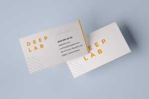 Free 2 Free Photo Realistic Business Card Mockups PSD PSD