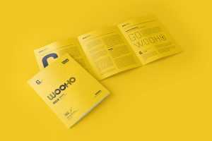 Free 3-Fold US Letter Brochure Mockup