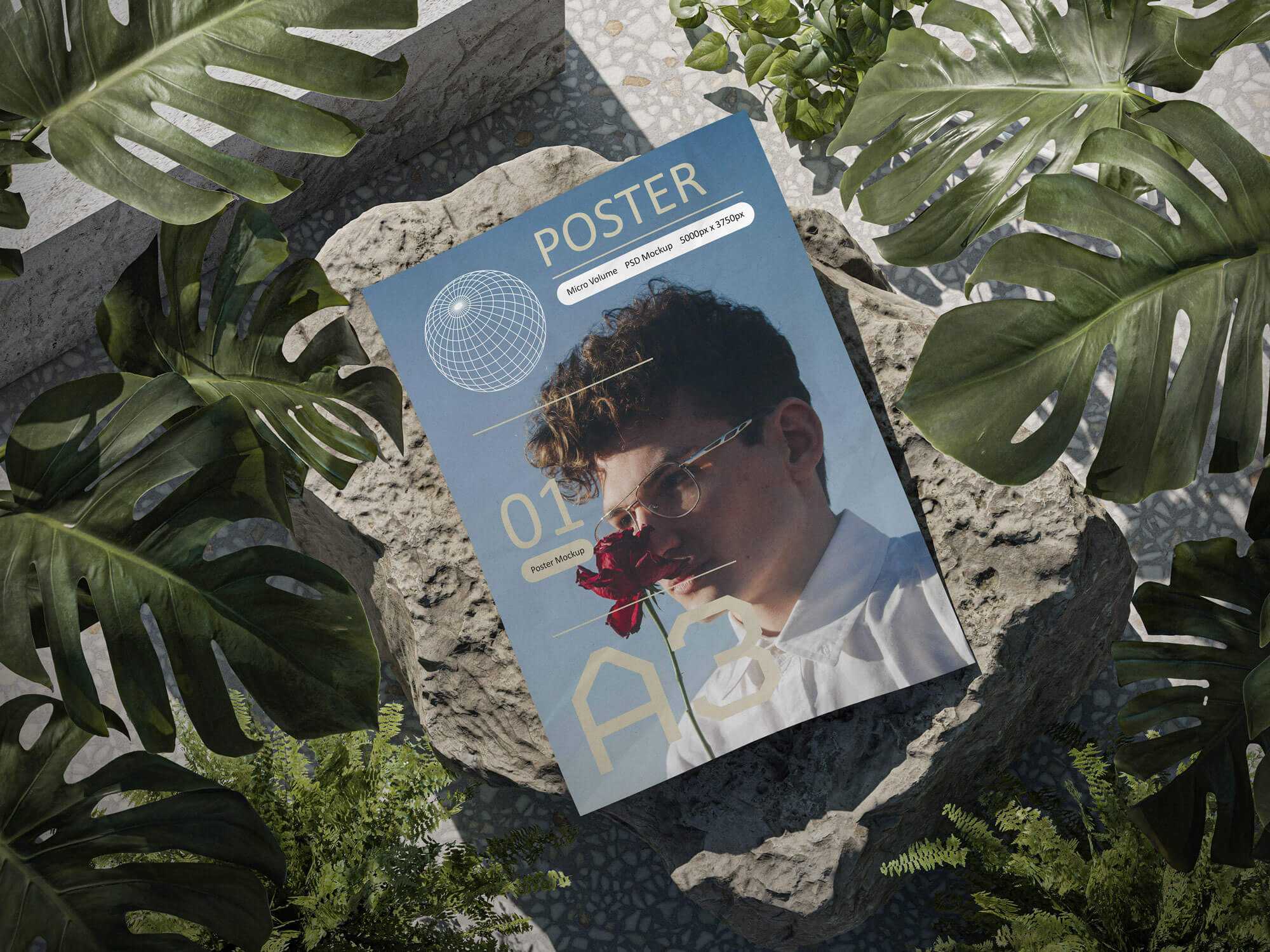 Free A3 Poster PSD Mockup on Rock a Top view