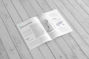 Free A4 Brochure / Catalog Mockup