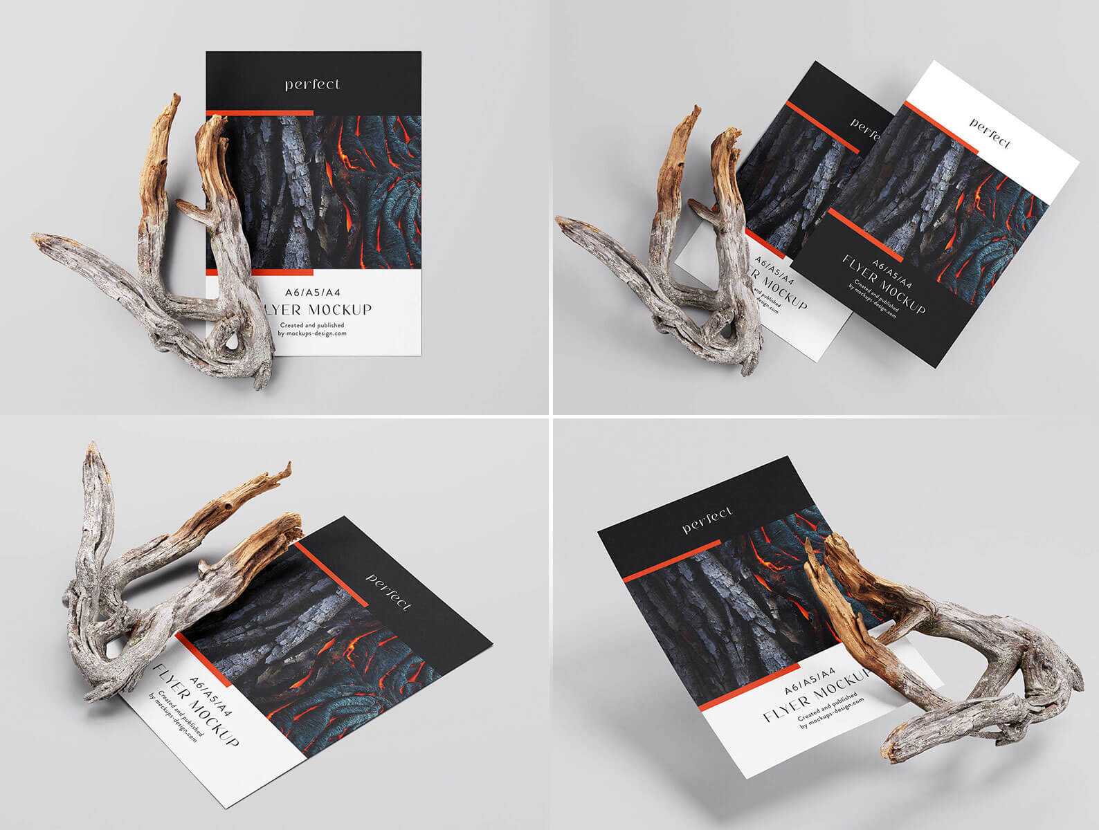 Free A4 Flyer Mockup PSD With Dry Branch