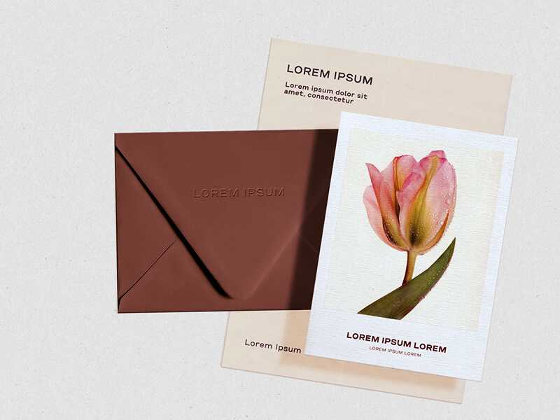 Free A4 Letter, Postcard and Envelope Mockup PSD