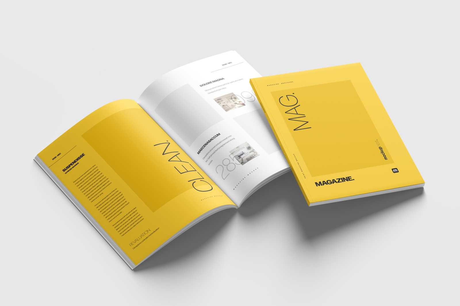 Free A4 Magazine Mockup