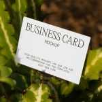 Free Business Card Among Cactus Mockup - Free PSD Download Free Business Card Among Cactus Mockup