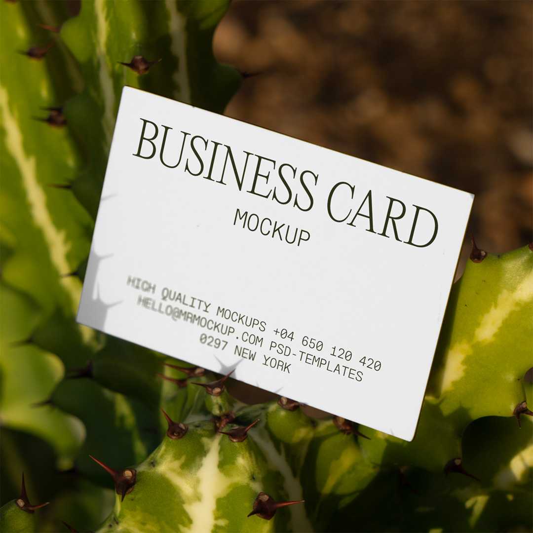 Free Business Card Among Cactus Mockup