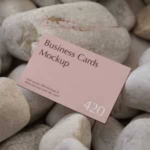 Free Business Card among the Stones Mockup