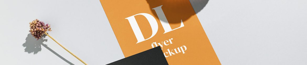 Free Business Card and DL Flyer Mockup PSD