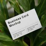 Free Business Card Between Ficus Mockup