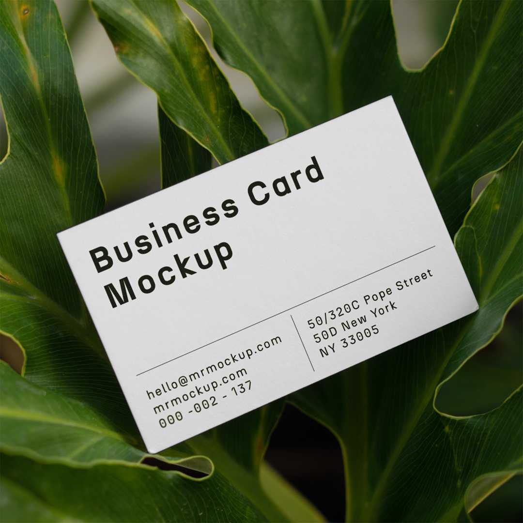 Free Business Card Between Ficus Mockup