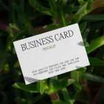 Free Business Card on Succulent Mockup - Free PSD Download Free Business Card on Succulent Mockup