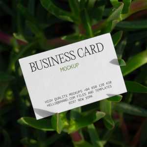 Free Business Card on Succulent Mockup