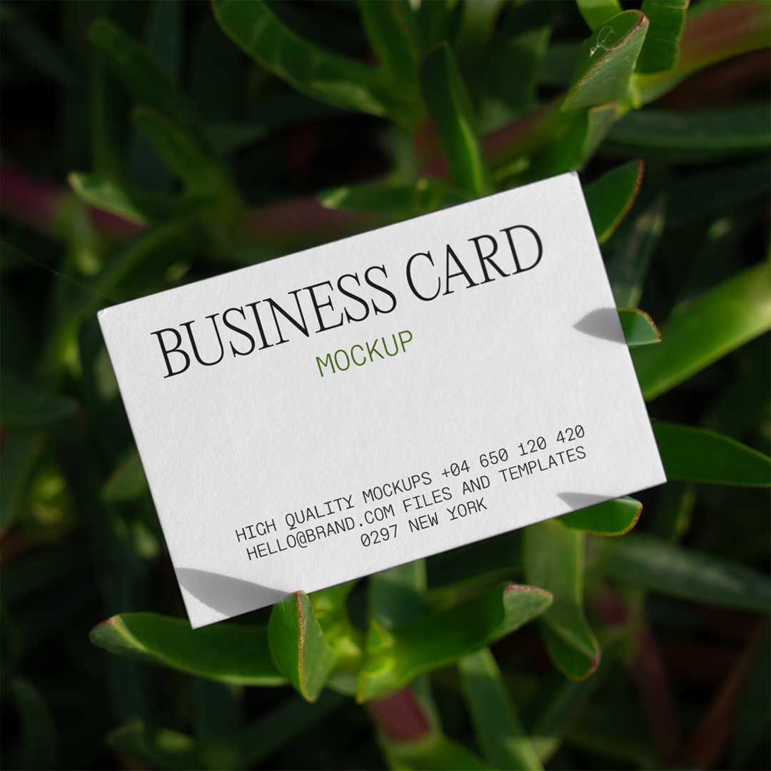 Free Business Card on Succulent Mockup