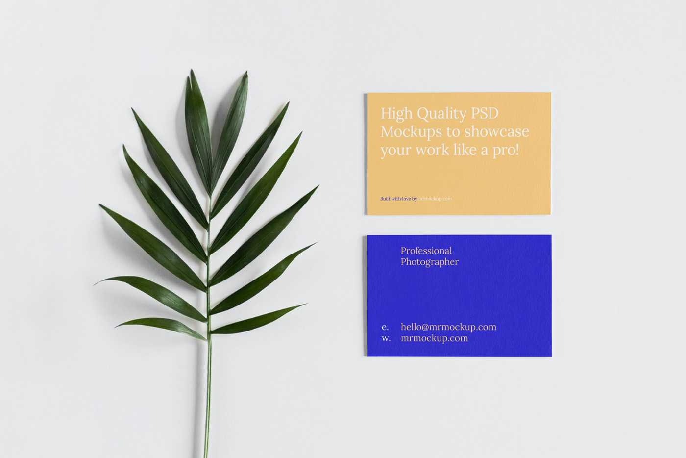 Free Business Card with Leaf Mockup