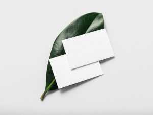 Free Business Card with Plant Leaf Mockup PSD