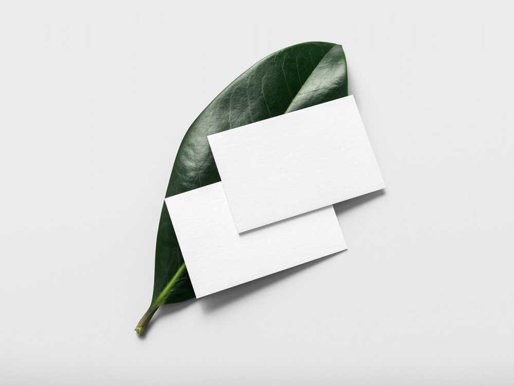 Free Business Card with Plant Leaf Mockup PSD