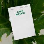 Free Card beetwen Ficus Mockup