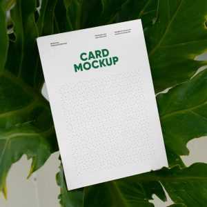 Free Card beetwen Ficus Mockup