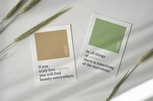 Free Cards Mockup PSD