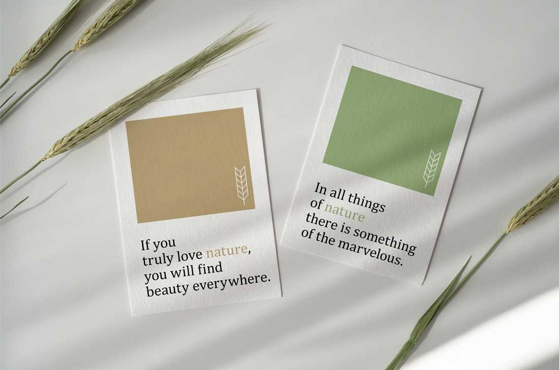 Free Cards Mockup PSD