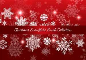 Free Christmas Snowflake Brush Collection