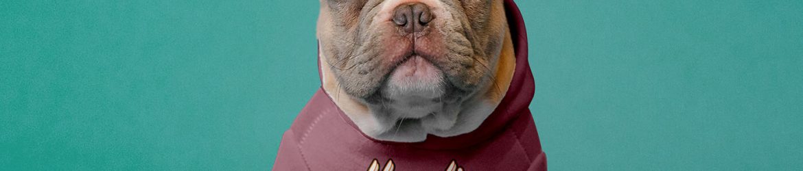 Free Dog Hoodie Mockup PSD