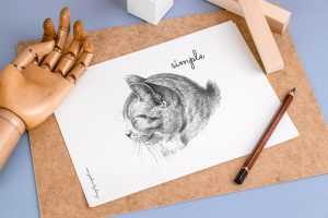 Free Drawing, Sketching Paper Mockup PSD