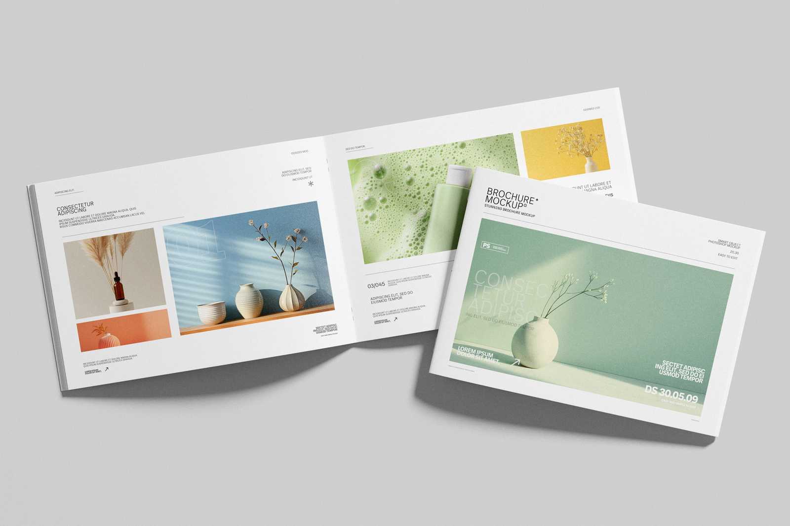 Free Elegant A4 Landscape Brochure Mockup Front Scene Display