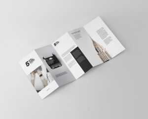 Free Five Fold DL Leaflet Mockup PSD