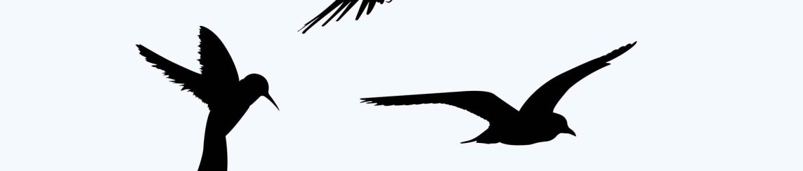 Free Free Birds Silhouette PSD